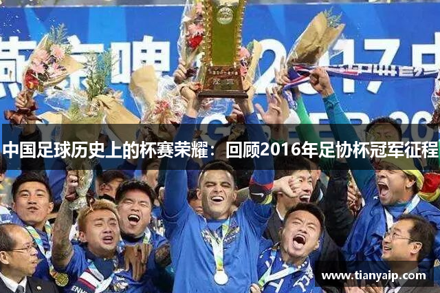 中国足球历史上的杯赛荣耀：回顾2016年足协杯冠军征程